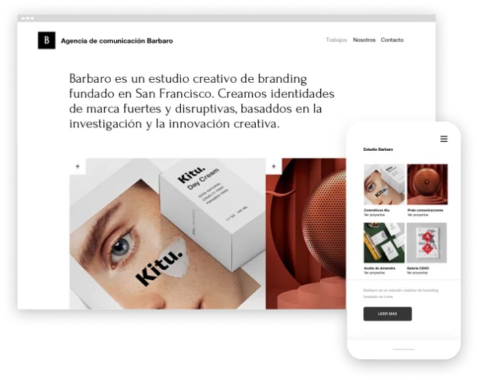caracteristicas wix